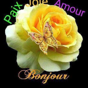 Je cherche la femme de ma vie parce que depuis j'ai perdu ma femme j'ai pas encore trouve la femme 