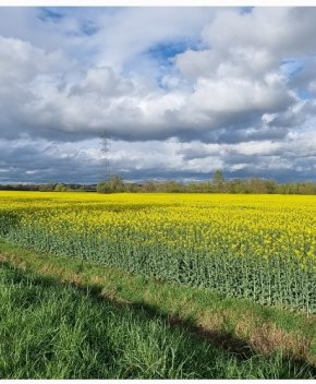 Je cherche une belle copine fidèle ? ?