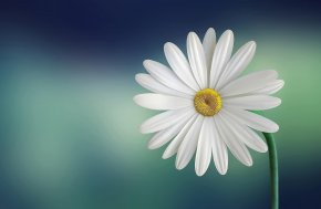 Cherche de relation sérieuse avec une femme intelligente, sérieuse et respectueuse 
