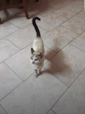 Je veux trouver ma moitié et fonder ma famille 
