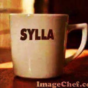 La force ,tranquille,respect, savoir-faire, discret,calme,sourian,sensation,dynamisueb