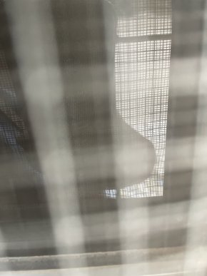 Belle, Aimable, Drôle , souvent nerveuse mais très , compréhensive , ouverte d’esprit 