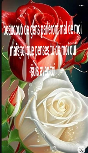 Cherche côrresponante dans l'intation de tisser une amitié pour partager nos quotidien
