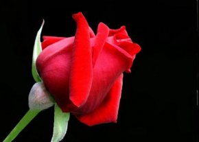 i am a good girl looking for a good mani am a good girl looking for a good man