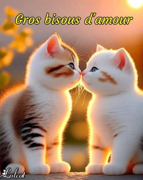 Je ne ferais pas mes louange tu le découvas