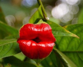 bonjour de nice bonne journée a bientot je l espere