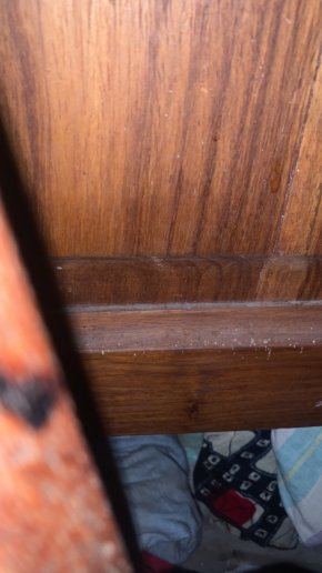 Je suis un mec simple avec un peu d’égo mais sa gère ?bon sais même pas pourquoi je suis ici ?