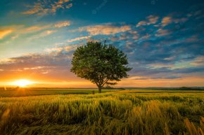 Céliataire joyeux Cherche une personne solaire et joyeuse